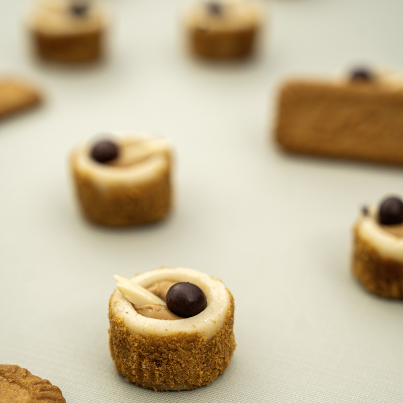 Buy Biscoff Katori in Surat, India